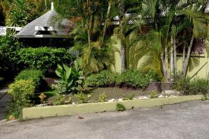 Fotografie z fotogalerie ubytování Pineapplesuites v destinaci Ocho Rios