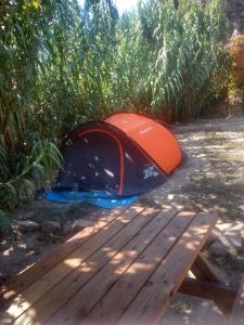 Fotografie z fotogalerie ubytování Les Bambous, camping naturiste v destinaci Ile du Levant