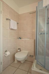 Isselhorster Landhaus في غوترسلوه: حمام مع مرحاض ودش