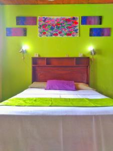 een slaapkamer met een bed met groene muren en 2 verlichting bij Hotel Oasis in San Salvador