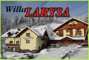 Willa Larysa Agro взимку
