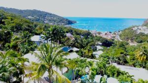 Una vista aérea de un resort con palmeras y el océano. en Appartement Tillet. O Coeur de Deshaies., en Deshaies 12 fotos más
