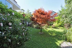 Vonkajšia záhrada v ubytovaní Nigler Innsbruck Apartment
