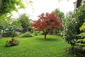 Vonkajšia záhrada v ubytovaní Nigler Innsbruck Apartment