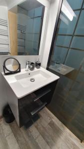 y baño con lavabo blanco y ducha. en "LE TRAMWAY" Appartement 150m gare des Aubrais, en Fleury-les-Aubrais