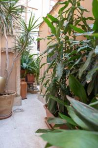 A garden outside ERCTA