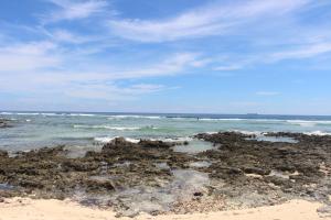 a beach with seaweed on the sand and the ocean at Harana Surf Resort in General Luna