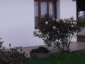 Giardino di Studio du gite