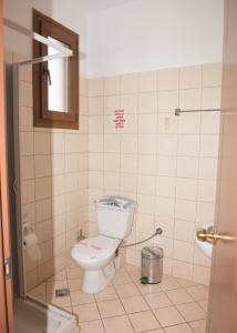 a small bathroom with a toilet and a mirror at Morfoula in Vatera