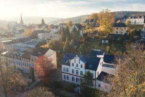 an aerial view of a town with buildings at Hotel - Pension Vesta in Bad Elster