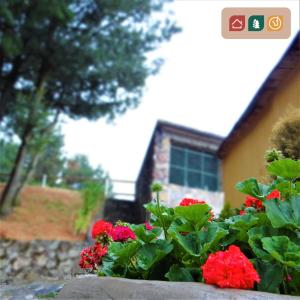 une boîte de fleurs avec des fleurs rouges devant une maison dans l'établissement Rancho EL PARAÍSO AJUSCO, à Mexico
