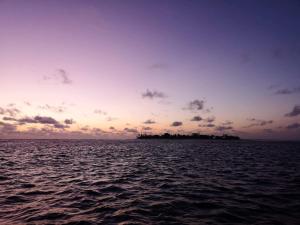 Foto sihtkohas Gulhi asuva majutusasutuse String Wave Maldives galeriist