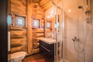 a bathroom with a toilet and a sink and a shower at Baranjska eko drvena kuća in Kopačevo +28 photos