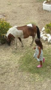 a little girl standing next to a brown and white horse at Villa Agnese in Badesi