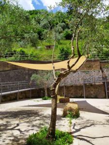 un árbol en un parque con un tobogán en Ostello Il Castagno, en Antrodoco
