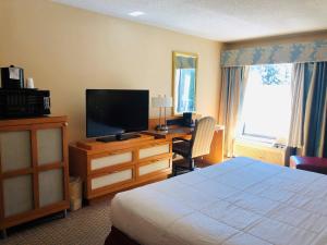 Habitación de hotel con cama y escritorio con TV. en Hotel M Mount Pocono, en Mount Pocono