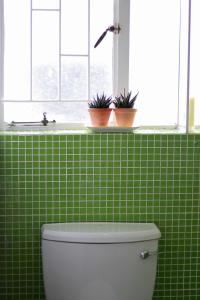 un bagno piastrellato verde con servizi igienici e 2 piante in vaso di Olive tree private rooms in Stellenbosch- No Load Shedding a Stellenbosch