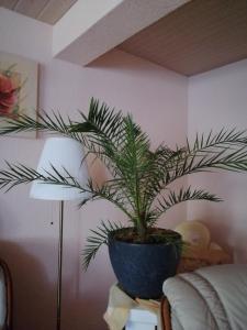 Postel nebo postele na pokoji v ubytování Apartment Dietze