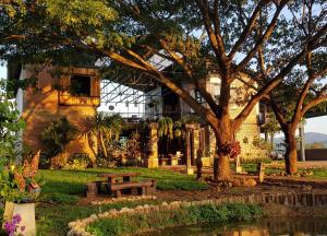 a park with a bench and a tree and a building at SuanGlangNa in Phrae
