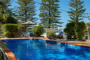 a swimming pool with chairs and umbrellas and trees at Tuross Beach Cabins & Campsites in Tuross Heads
