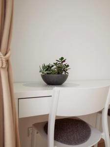 uma planta em vasos sentada numa mesa branca em Elzbietos centro apartamentai em Vilnius