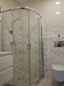 a glass shower in a bathroom with a toilet at Elzbietos centro apartamentai in Vilnius +22 photos