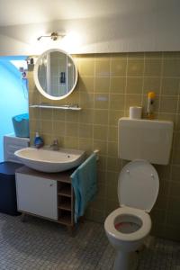 a bathroom with a toilet and a sink and a mirror at OasenEck in Limburg an der Lahn +13 photos