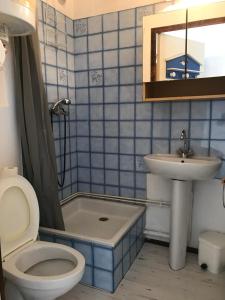 a bathroom with a toilet and a sink at Coquet appartement in Fleury