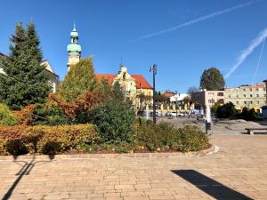 un parque con una torre de reloj en una ciudad en Apartments 4 You Hlonda, en Tychy