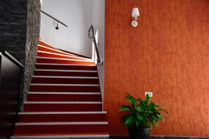 Fotografie z fotogalerie ubytování Hotel Cirus v destinaci Predeal
