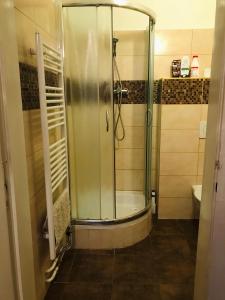 W łazience znajduje się prysznic ze szklanymi drzwiami. w obiekcie Apartmán Stursovka w mieście Brno