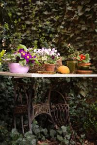 una mesa con macetas y flores. en Der Alps Hof, en Walsrode