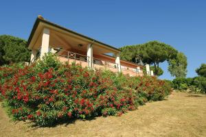 A garden outside Villa Manuela - ArgonautiVacanze