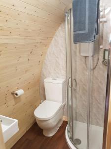 a bathroom with a toilet and a shower at Strathyre Camping Pods in Strathyre