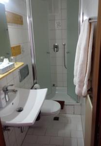 La salle de bains est pourvue d'un lavabo, de toilettes et d'une douche. dans l'établissement Pension Chapeau-Claque, à Cochem