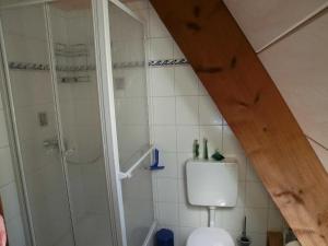 a bathroom with a shower and a toilet in a room at Ferienhaus Hubertus, 95059 in Rhauderfehn