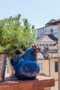 Aed väljaspool majutusasutust TERRAZZA COCCODE' spazioso con vista mozzafiato!