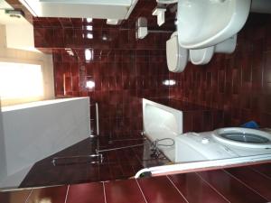 カンピテッロ・ディ・ファッサにあるGrohmannの赤いタイル張りのバスルーム(トイレ付)