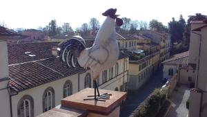 Foto Luccas asuva majutusasutuse TERRAZZA COCCODE' spazioso con vista mozzafiato! galeriist