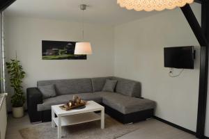 TV a/nebo společenská místnost v ubytování Ferienwohnung Schmidt, 95131