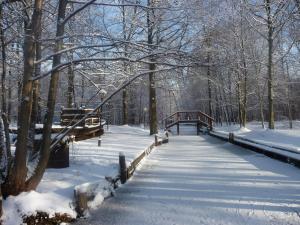 a snow covered walkway in a park with a bridge at Pension Am Holzgraben in Lübbenau +6 photos