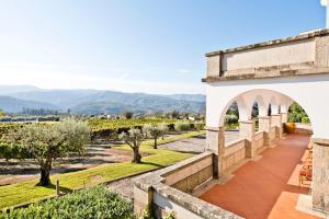 een uitzicht op een wijngaard vanaf het balkon van een villa bij Flag Hotel Convento do Desagravo in Oliveira do Hospital