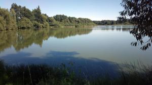 vistas a un lago con árboles en el fondo en Penzion Lada, en Nová Bystřice