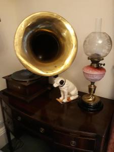 a dog sitting on a dresser next to a lamp at Banbury Cross B&B in Banbury