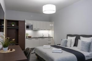 Kuchyň nebo kuchyňský kout v ubytování Penzion Apartmány Hradební