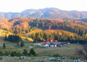 a house in the middle of a field with trees at Poiana Cristian in Poiana Brasov