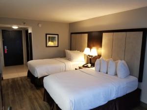 Habitación de hotel con 2 camas y 2 lámparas en Wyndham Garden Hotel - Jacksonville en Jacksonville