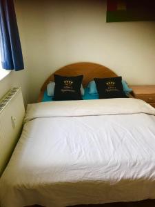 een slaapkamer met een bed met 2 kussens erop bij Old Citycenter Appartment in Graz