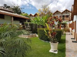 un jardin avec une plante dans un pot sur l'herbe dans l'établissement Pousada Vista Alegre, à Guaratinguetá