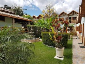 a garden with a plant in a pot on the grass at Pousada Vista Alegre in Guaratinguetá